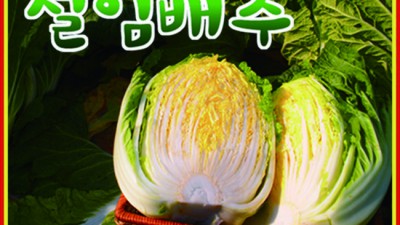 홈플러스 절임배추 득템 후기! 🥬✨