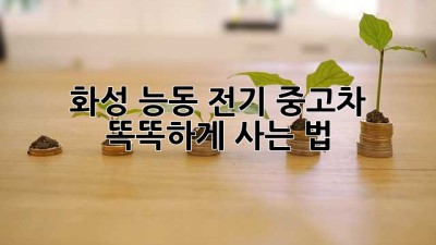 화성 능동, 전기 중고차 똑똑하게 사는 법 🚗💨