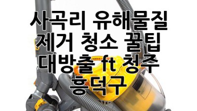 🧹✨ 사곡리 유해물질 제거 청소, 꿀팁 대방출! (ft. 청주 흥덕구) ✨🏡