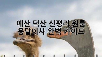 예산 덕산 신평리 원룸 용달이사 완벽 가이드