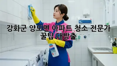 강화군 양도면 아파트 청소🧹✨: 전문가 꿀팁 대방출!